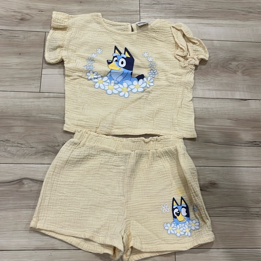 EUC Bluey Outfit Toddler Girls Size 5T